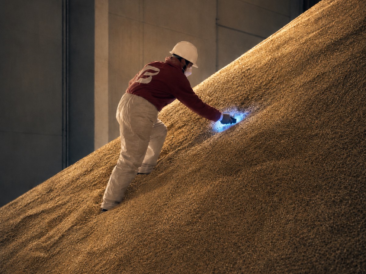 Brasmar operator measuring residual concentration with a handheld detector on the grain pile